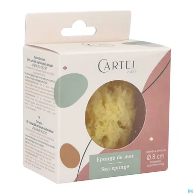 Cartel Eponge De Mer 8cm5640