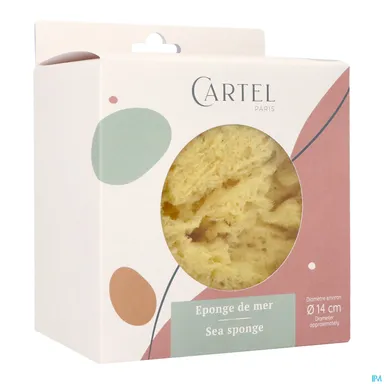 Cartel Eponge De Mer 14cm5642