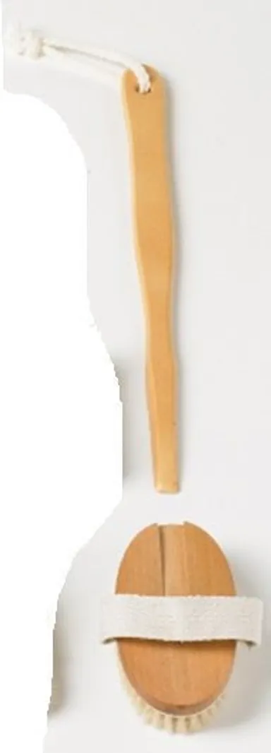 Cartel Brosse Bain Bois Soie Bb2