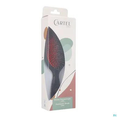 Cartel Borstel Pneumatisch Nylon Everzwijn L