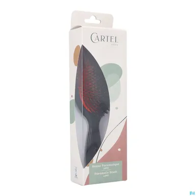 Cartel Borstel Pneumatisch 100% Everzwijn L