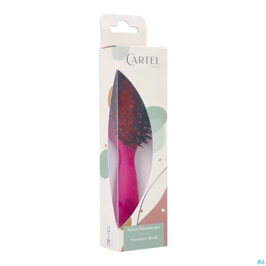 Cartel Borstel Pneumatisch 100% Everzw.zak Kleur