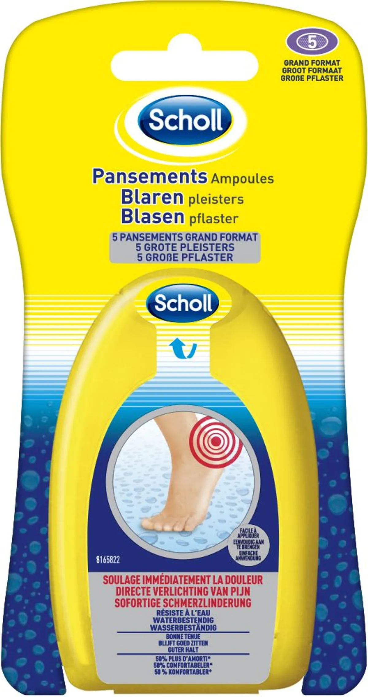 Scholl Pans Ampoules Grand Format 5
