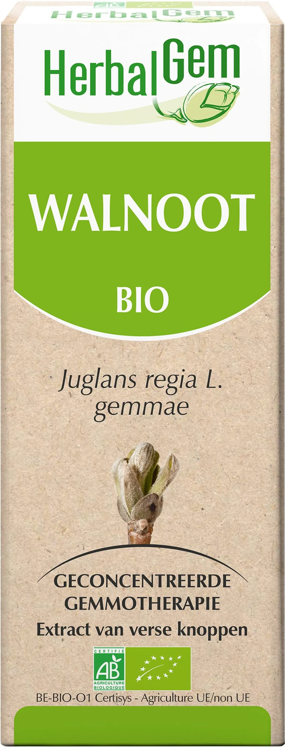 Herbalgem Walnoot Maceraat 15ml