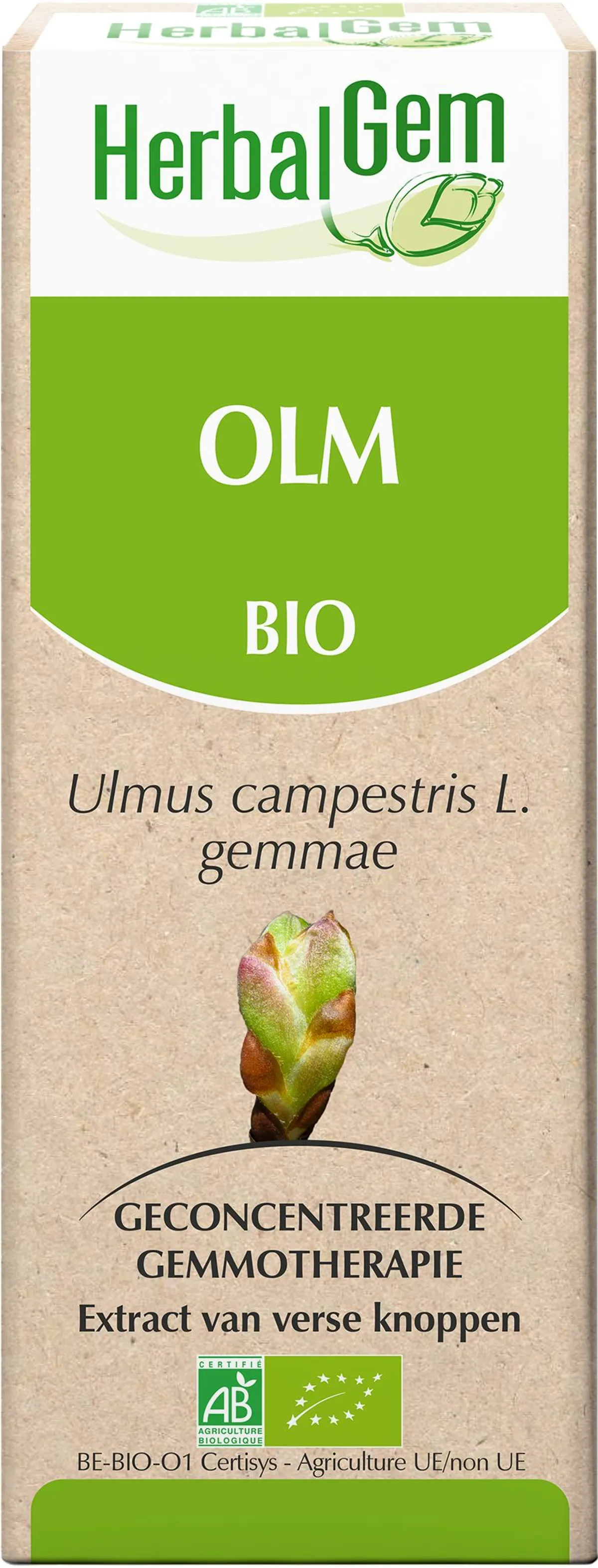 Herbalgem Olm Maceraat 15ml