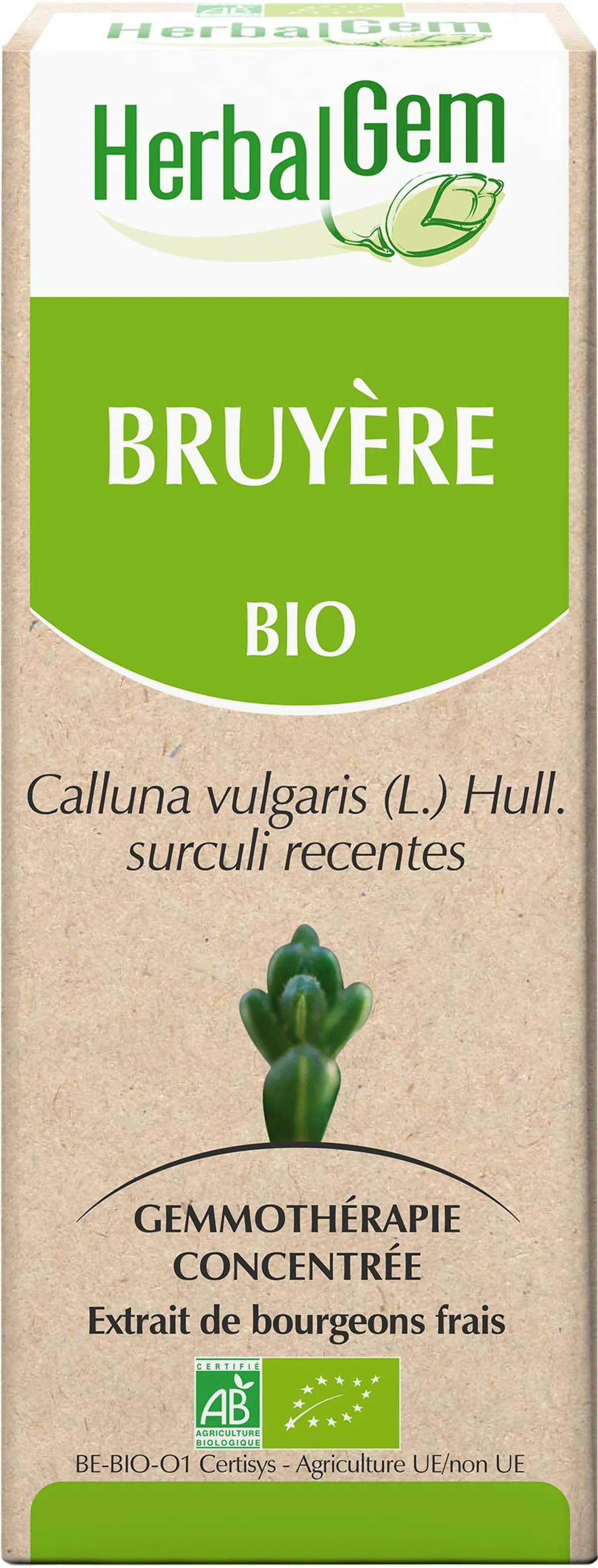 Herbalgem Bruyere Macérat 15ml