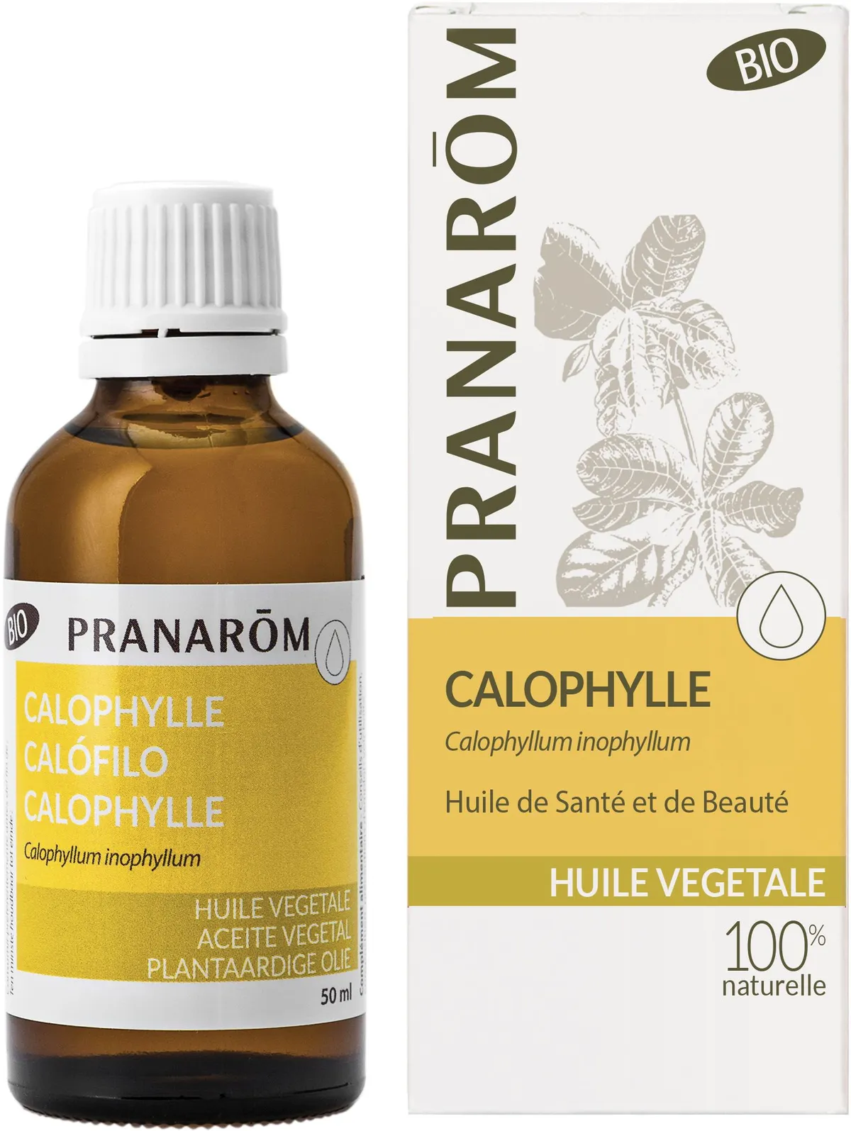Pranarôm Calophylle Huile Végétale Bio 50ml
