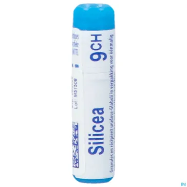 Silicea 9CH Globules Boiron
