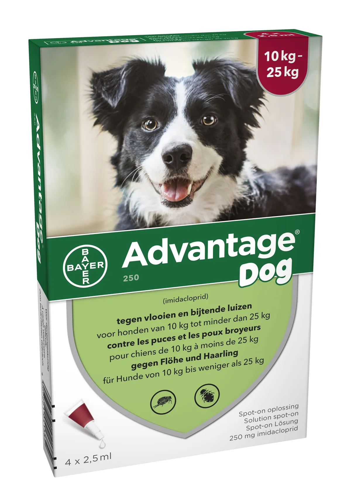 Advantage 250 Chiens 10<25kg 4x2,5ml