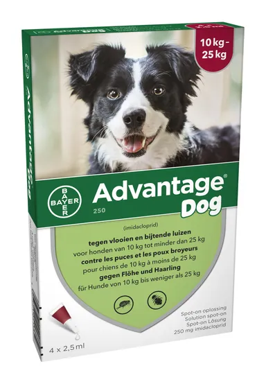 Advantage 250 Chiens 10<25kg 4x2,5ml