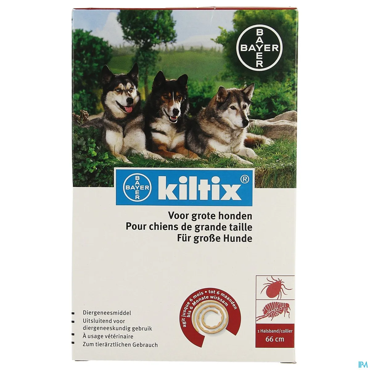 Kiltix Collier A/puce 66cm Chien