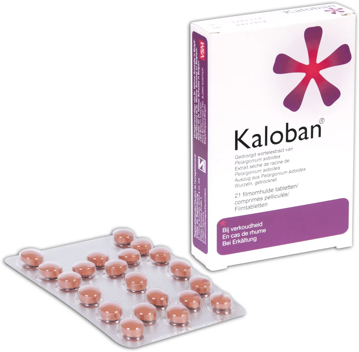 Kaloban VSM 21 Comprimés