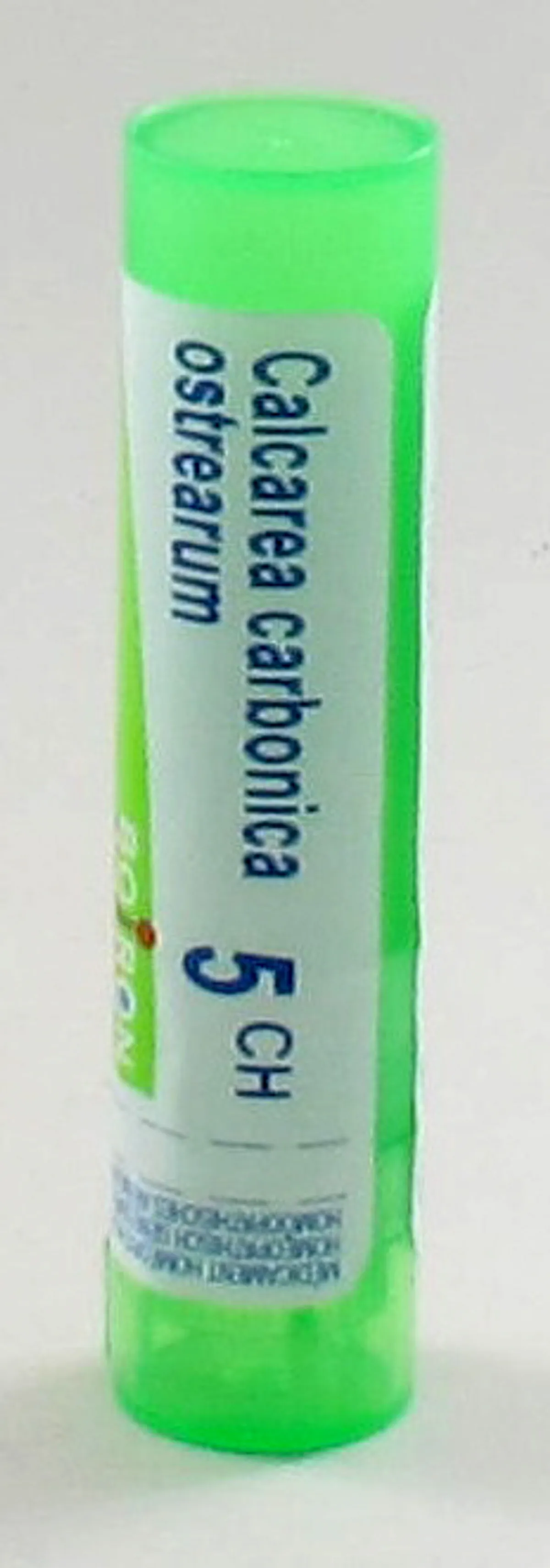 Calcarea Carbonica Ostrearum 5CH Granules 4g Boiron