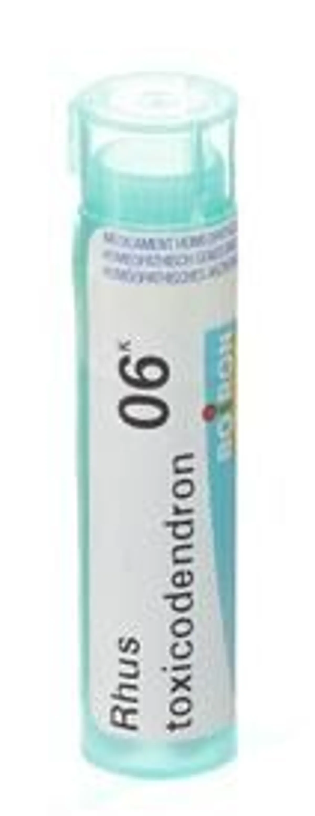 Rhus Toxicodendron 6K Granules 4g Boiron