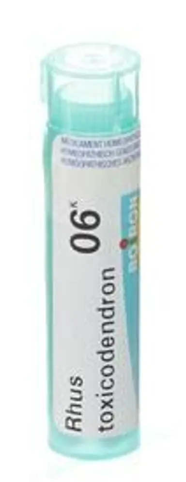 Rhus Toxicodendron 6K Granules 4g Boiron