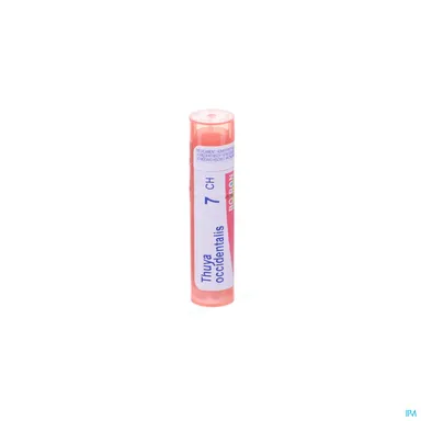 Thuya Occidentalis 7CH Granules 4g Boiron