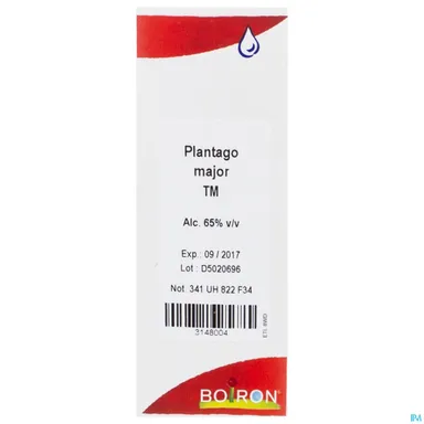 Plantago Major Moedertinctuur (MT) 60ml Boiron