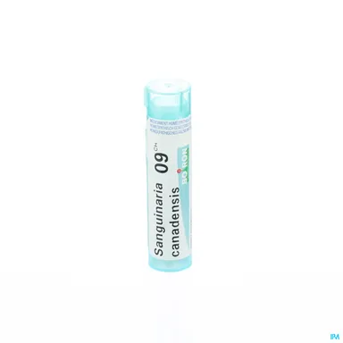 Sanguinaria Canadensis 9CH Granules 4g Boiron