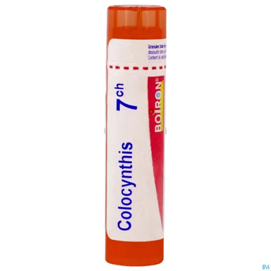Colocynthis 7ch Gr 4g Boiron