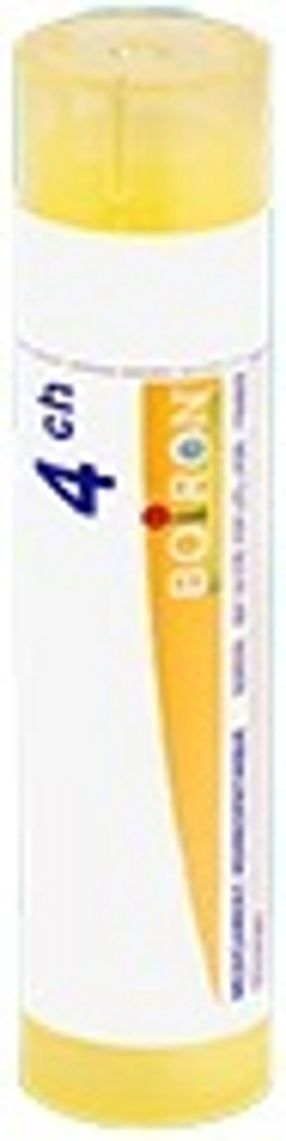 Colocynthis 9ch Gr 4g Boiron