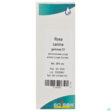 Rosa Canina Gemmo D1 60ml Boiron