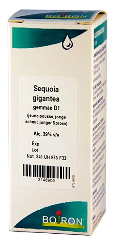 Sequoia Gigantea Gemmo D1 60ml Boiron