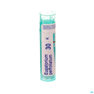 Eupatorium Perfoliatum 30K Granulen 4g Boiron