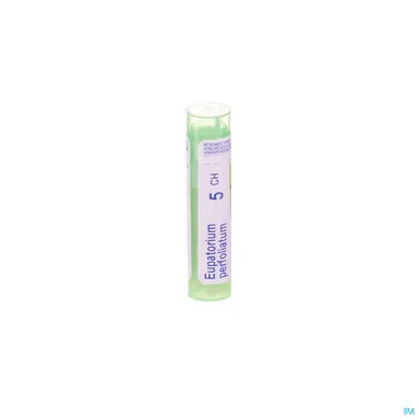 Eupatorium Perfoliatum 5CH Granulen 4g Boiron