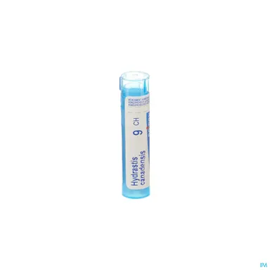 Hydrastis Canadensis 9ch Gr 4g Boiron