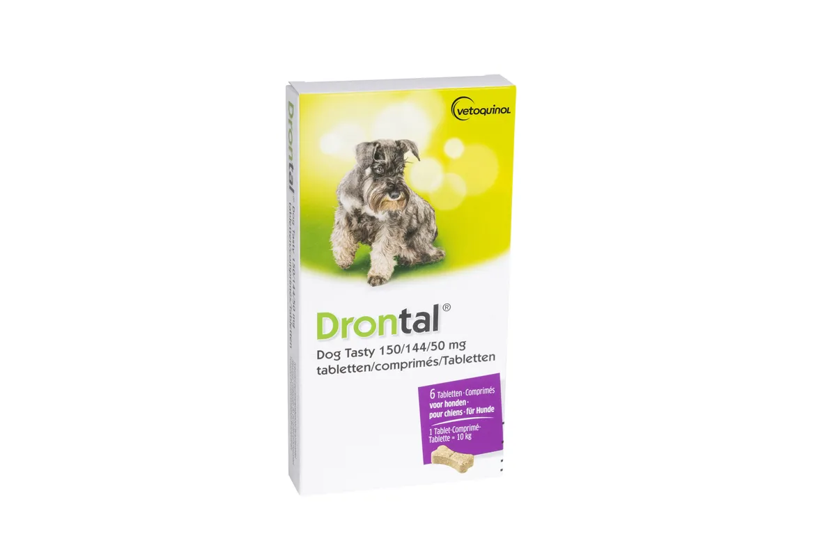 Drontal Tasty Bone 150/144/5mg 10kg Dog Comp 6