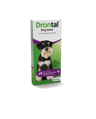 Drontal Tasty Bone 150/144/5mg 10kg Dog Comp 6