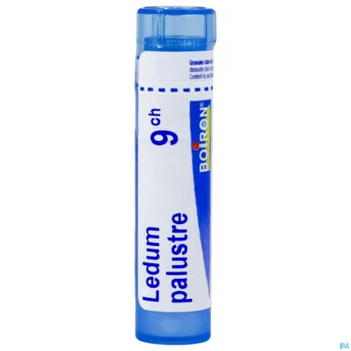 Ledum Palustre 9CH Granulen 4g Boiron