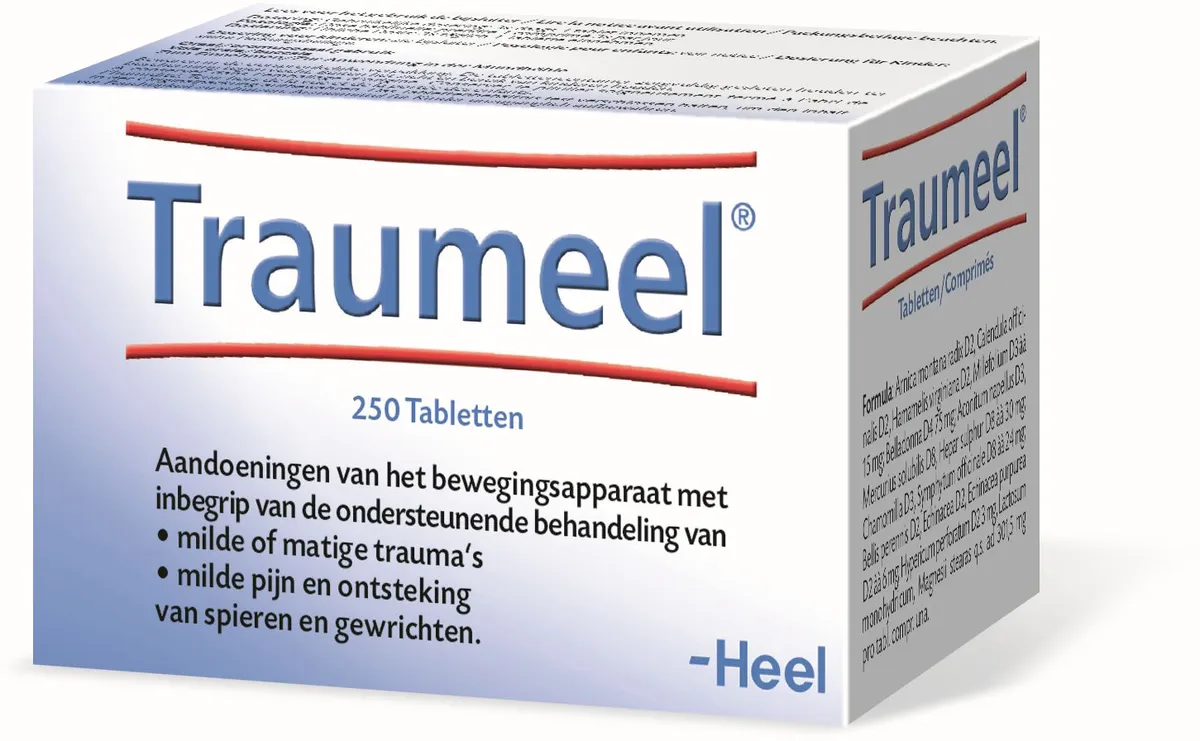 Traumeel 250 Tabletten Heel