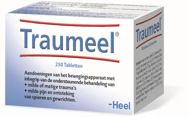 Traumeel 250 Tabletten Heel