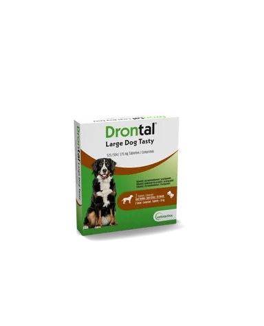 Drontal Large Dog Tasty 525/504/175mg Comp 1x2
