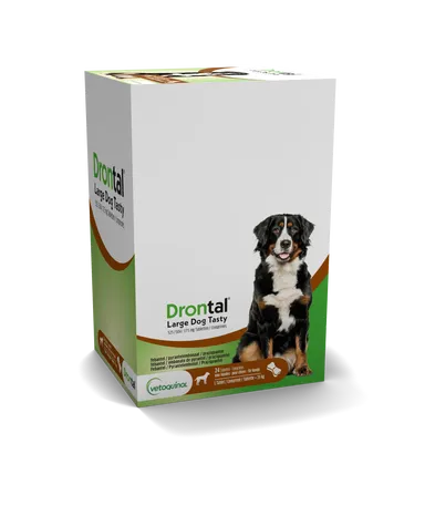 Drontal Large Dog Tasty 525/504/175mgcomp 24