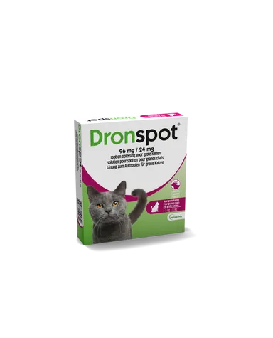 Dronspot 96 mg/24 mg Spot-on Katten Groot >5-8 kg Pip 2
