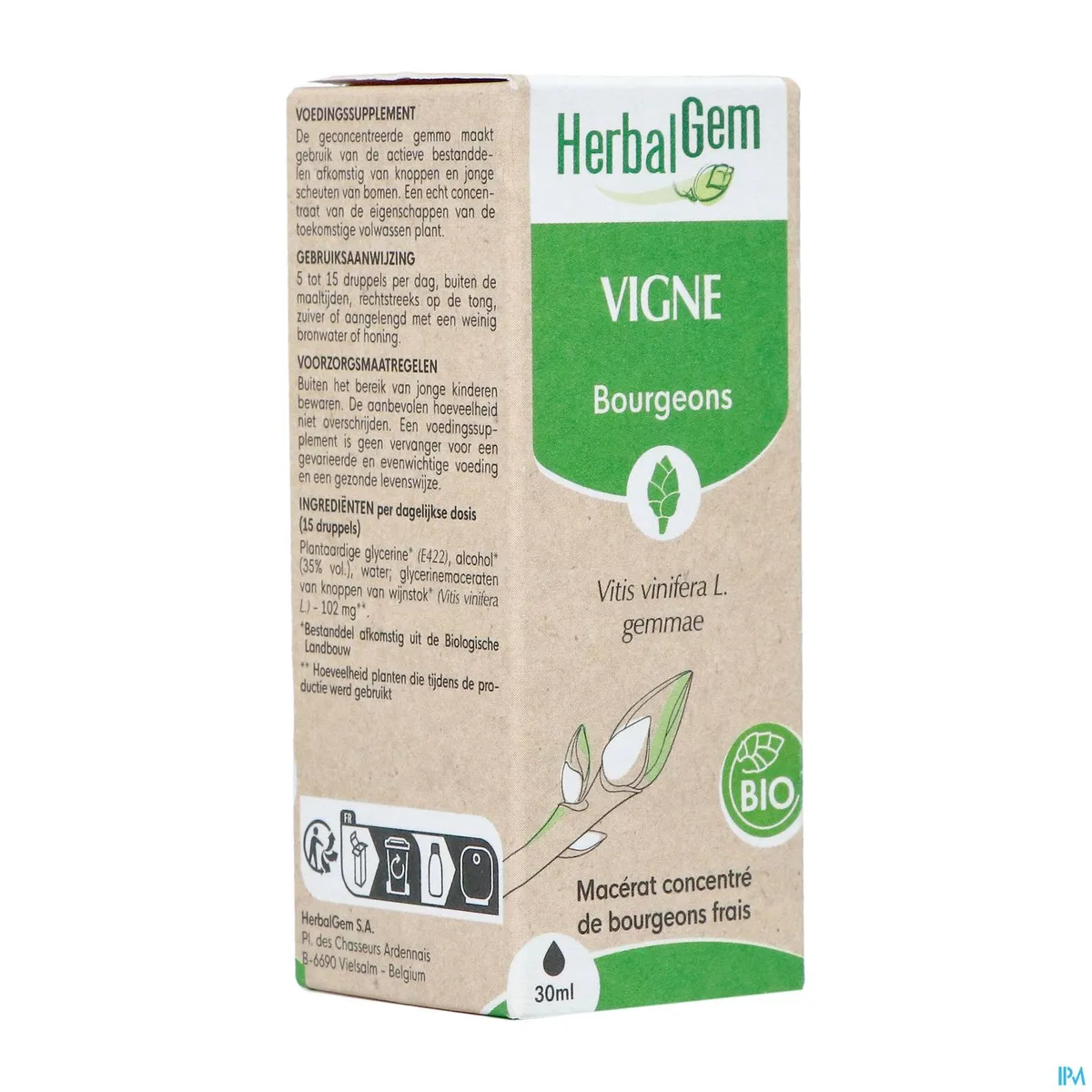Herbalgem Bourgeons Vigne Bio 30ml