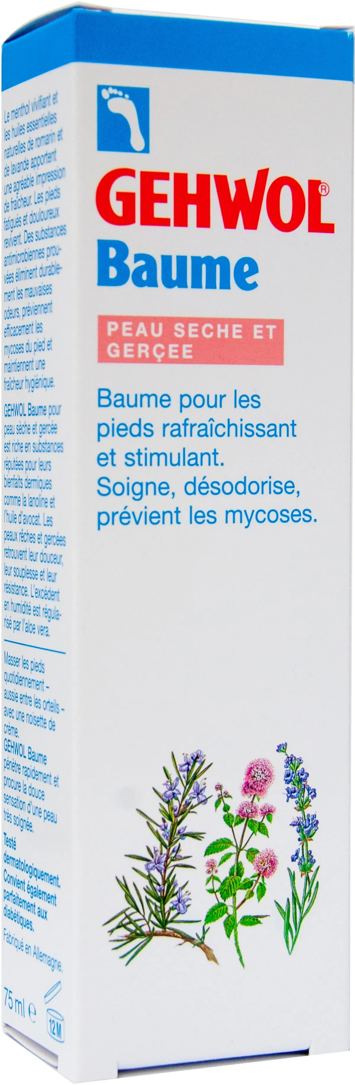 Gehwol Baume Rafraîchissant Pieds Peau Sèche et Gerçée 75ml