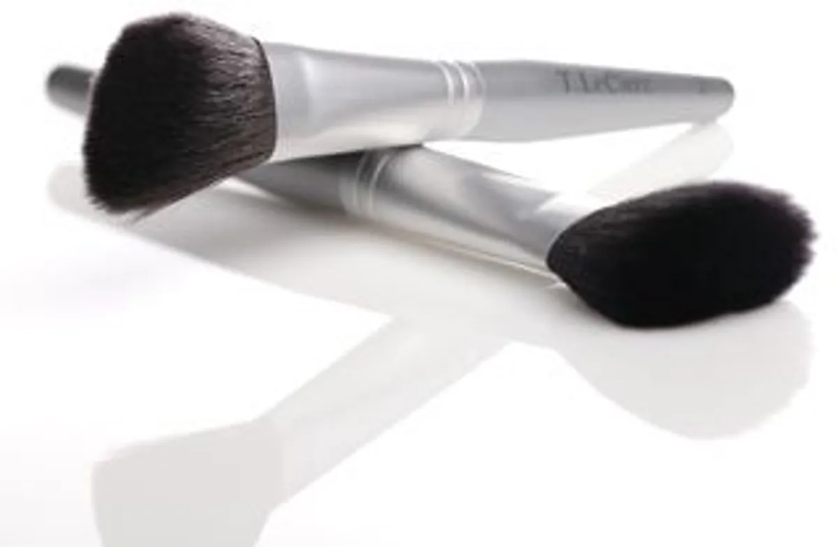 Tlc Pinceau Blush Biseaute Pin2