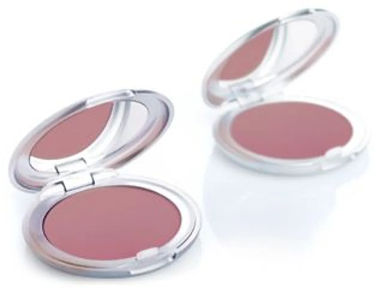 Tlc Teint Faj Poudre 03 Brun Rose 5g