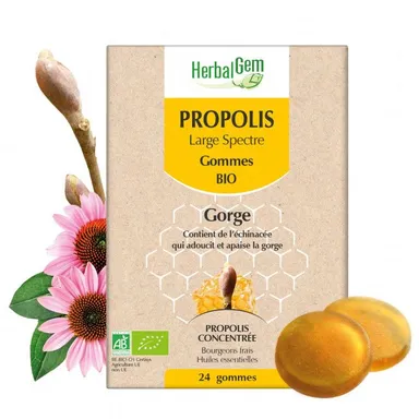 Herbalgem Propolis Large Spectre Bio 24 Gommes