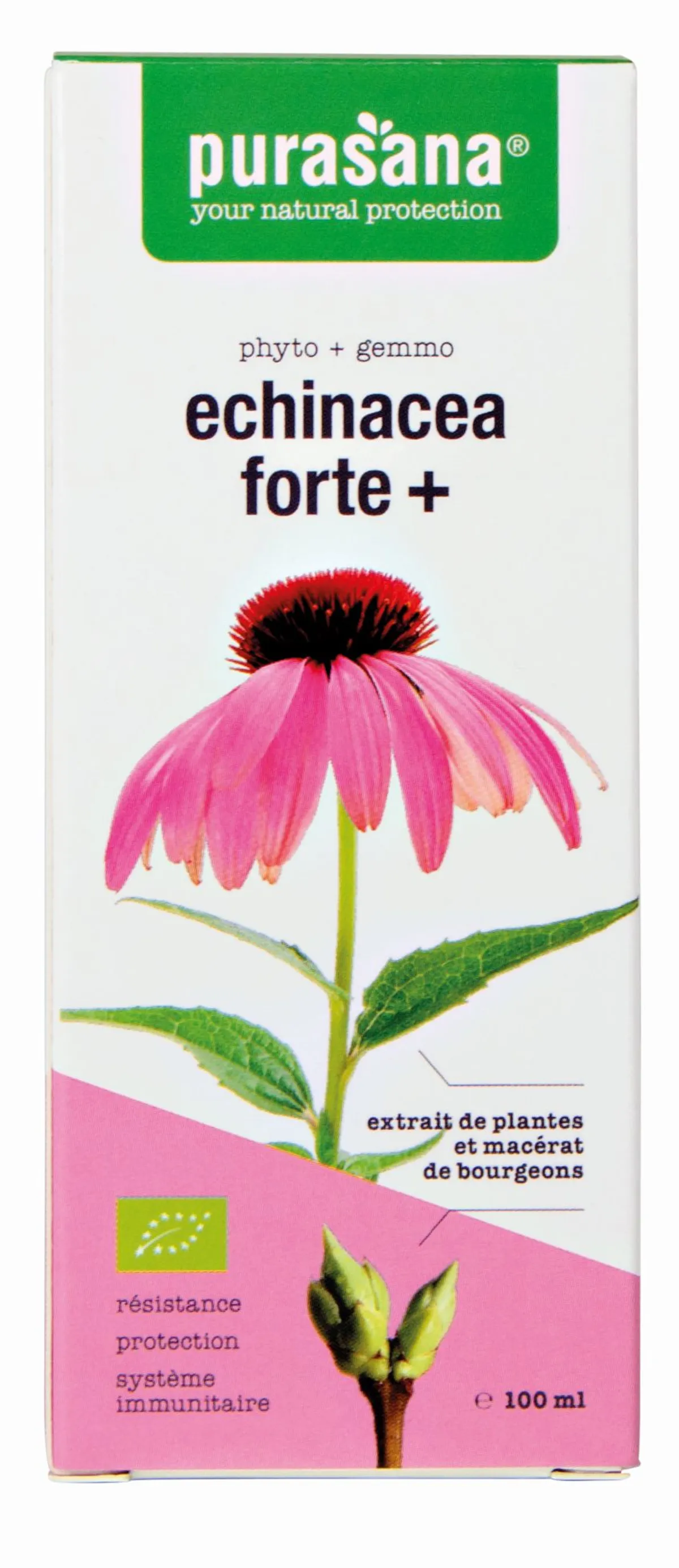 Purasana Echinacea Forte+ 100ml