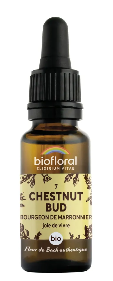 Bachbloesem 07 Chestnut Bud Bio 20ml Demeter