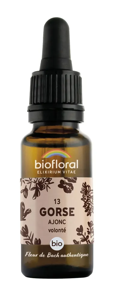 Bachbloesem 13 Gorse Gaspeldoorn Bio 20ml Demeter