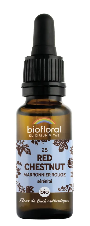 Bachbloesem 25 Red Chestnut Bio 20ml Demeter