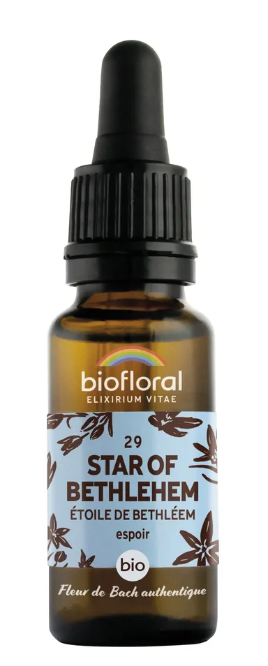 Bachbloesem 29 Star Bethlehem Bio 20ml Demeter
