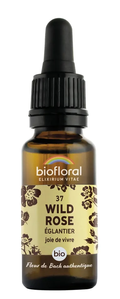 Bachbloesem 37 Wild Rose Hondsroos Bio20ml Demeter