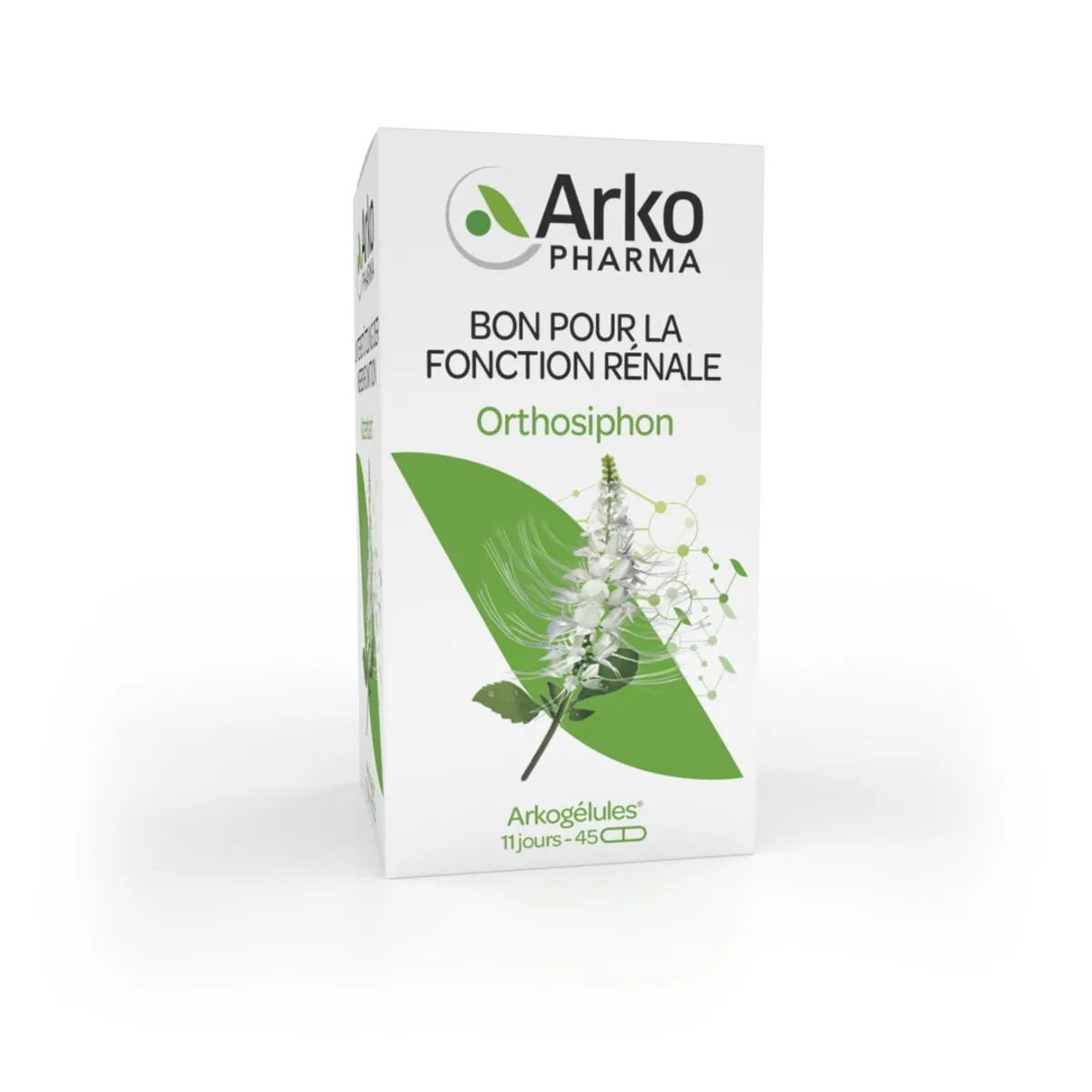 ArkoGélules Orthosiphon 45 Gélules Végétales