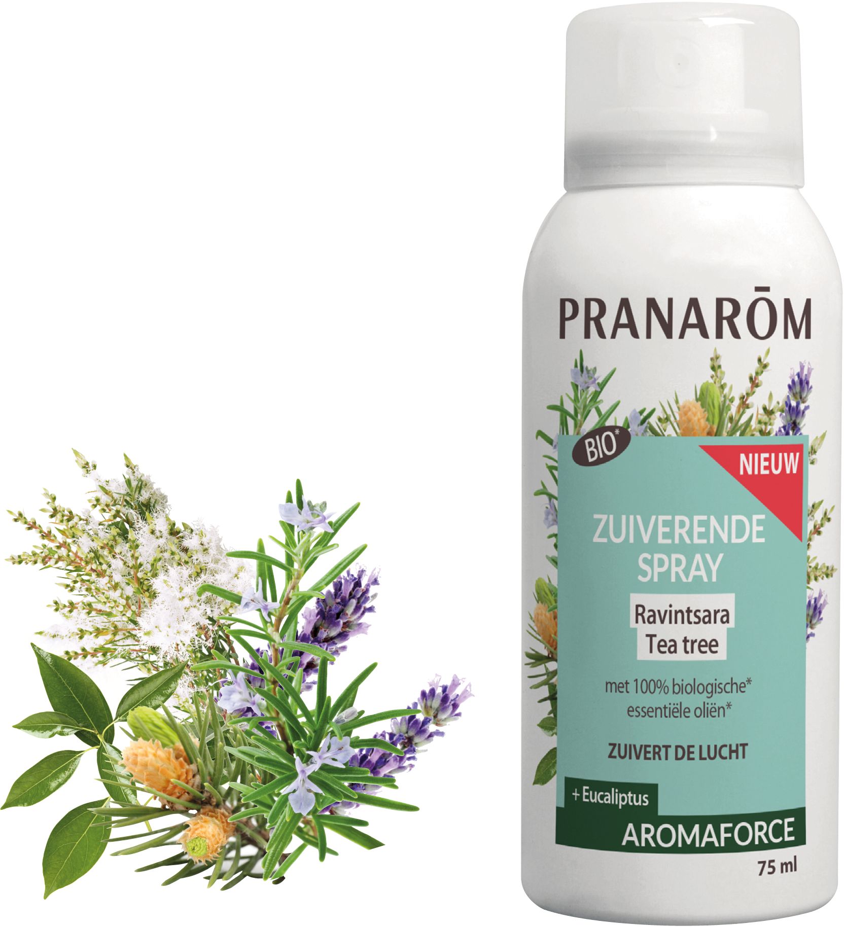 Pranarôm Aromaforce Zuiverende Spray Ravintsara Tea-Tree Bio 75 ml - Pranarôm